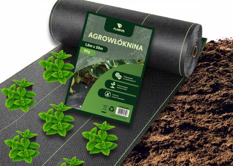 ładowanie obrazka...